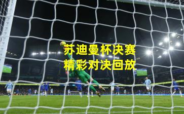 苏迪曼杯决赛精彩对决回放