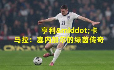 亨利·卡马拉:塞内加尔的绿茵传奇