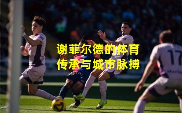 谢菲尔德的体育传承与城市脉搏